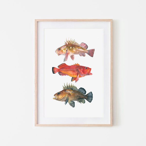 Rockfish Art Etsy