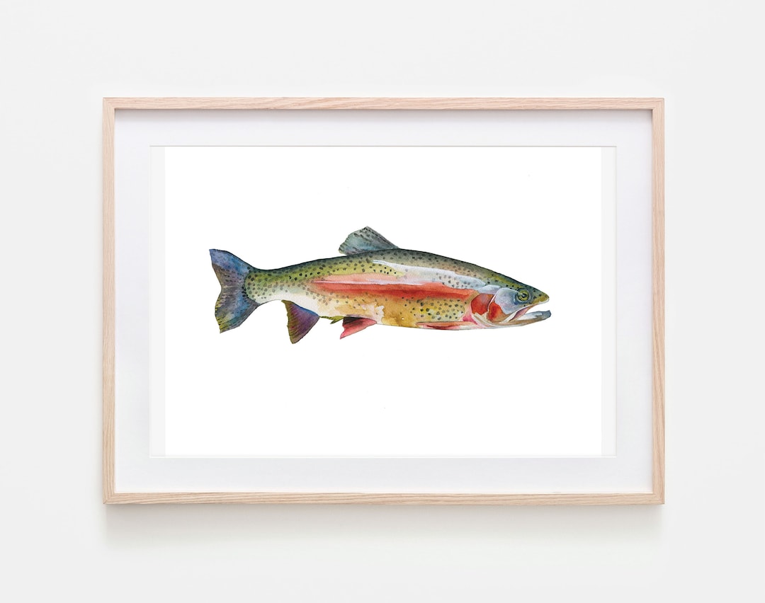 Rainbow Trout Print, Rainbow Trout Art Print, Trout Art, Fly Fishing