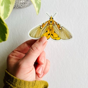 Moth Sticker, Butterfly Sticker, Sticker for Water Bottle, Cool Stickers, Insect Decal, Moth Decal, Decals for Laptops, Cooler Decals, Decal