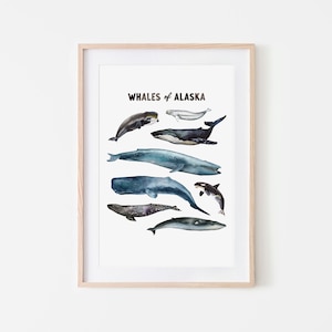 Whales of Alaska Watercolor Art Print: Coastal Ocean Wall Decor