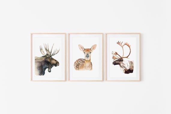 Printable Photos Woodland Etsy Printable Photos Woodland Etsy