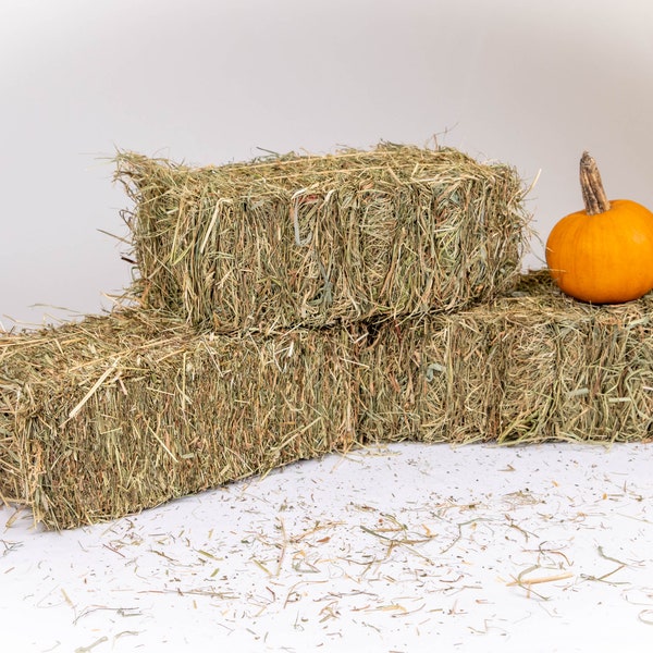 Decorative Small Hay Bale Made in USA