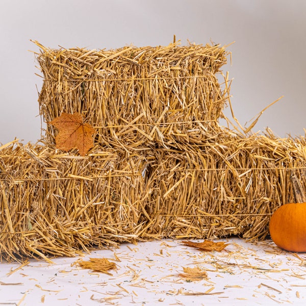 Miniature Straw Bale for Autumn Decorating, Small Straw Bale Fall Party Props,  Traditional Thanksgiving Tabletop Décor