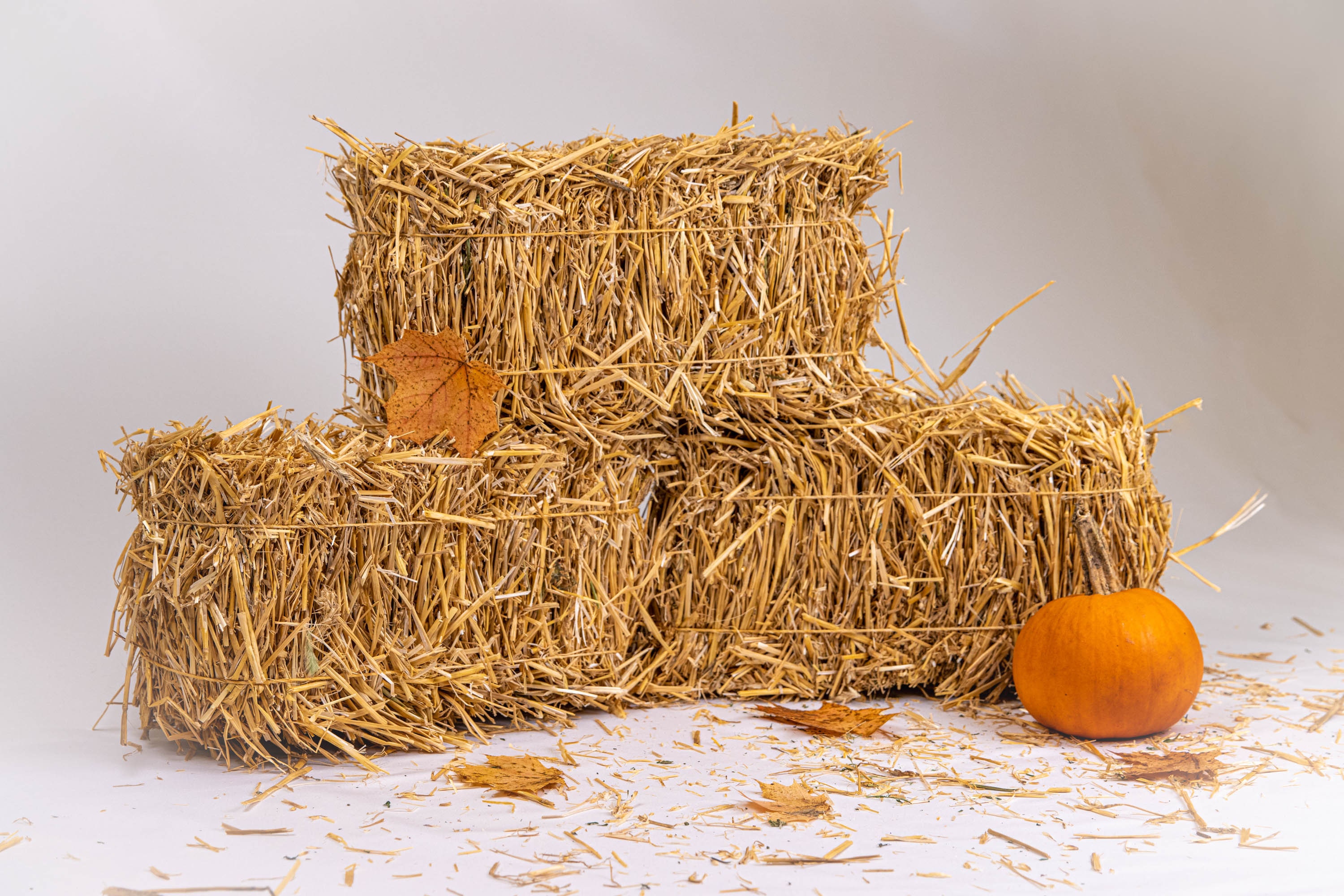Straw Weavers Mini Straw Bale Bundle of 3 Natural Hay for Autumn Fall Harvest, Craft Decoration and Display 2.5 in. x 3.5 in x 2.5 in