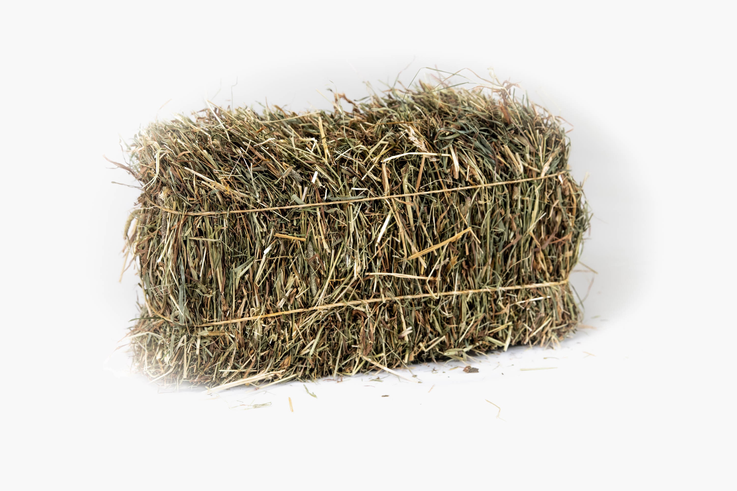 Second Cut Hay Mini Hay Bale for Rabbits, Guinea Pigs, Hamsters