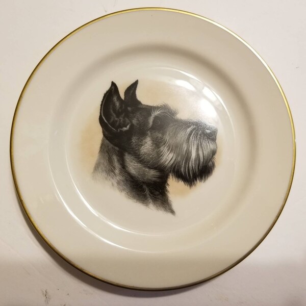 Vintage Pickard China Collectible Dog Plate 6" Scottish Terrier Scotty