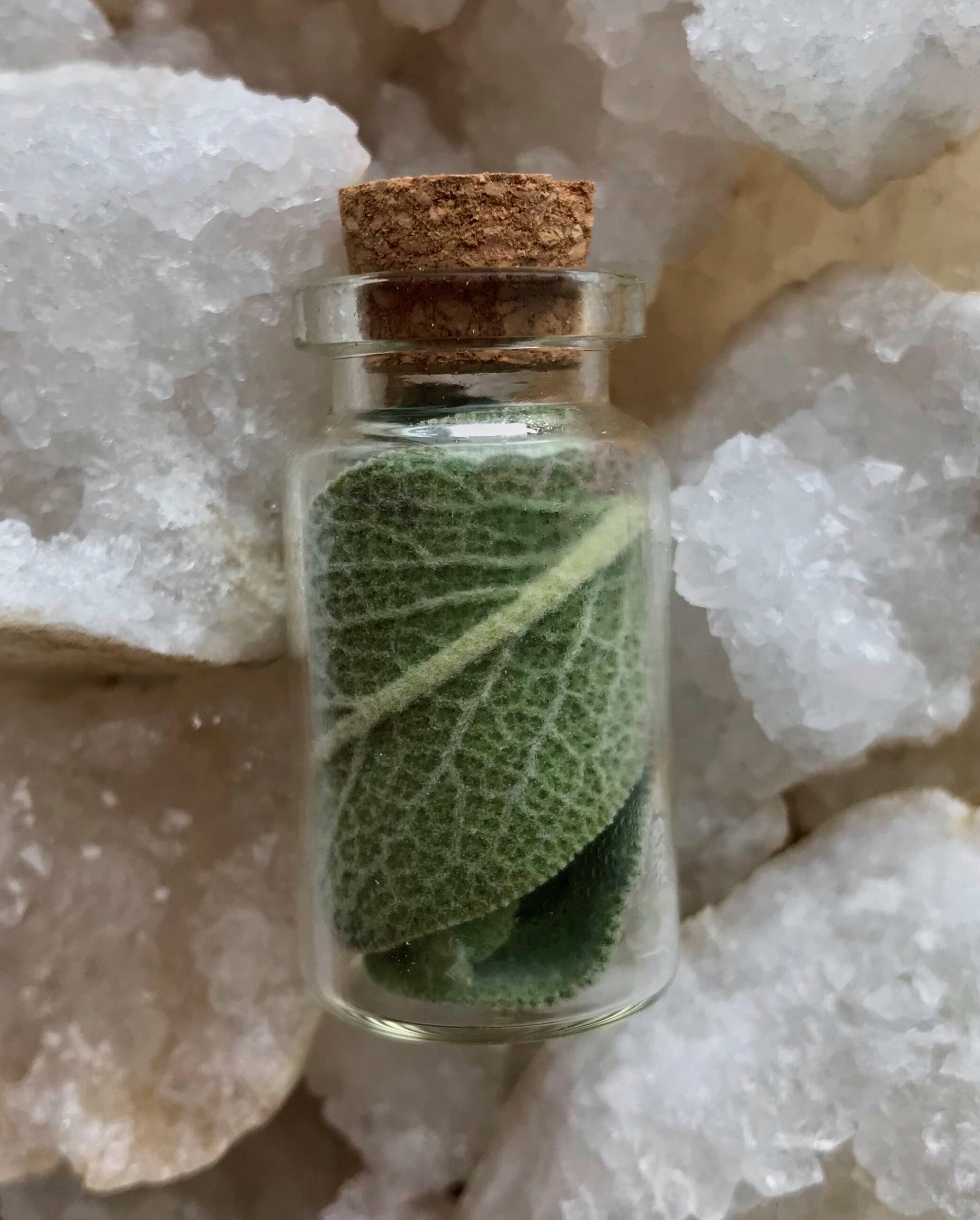 Herb Jars for Healing Spells Magick Rituals and Spell Jars Etsy