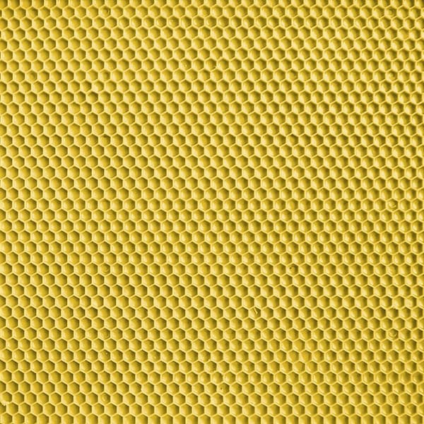 Beeswax foundation sheet, embossed, 100% natural beeswax