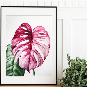 Rosa Monstera Blatt Wand Kunst, tropische Pflanze Druck, botanischer Kunstdruck, digitaler Download Kunst