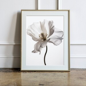 Modern Flower Wall Art Print, botanical wall decor, printable wall art, instant download art print