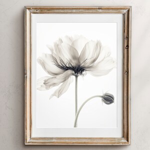 Minimalist Flower Wall Art Print, botanical art print, printable wall art, digital download art print