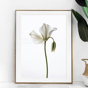 Modern Wildflower Wall Art, Realistic Flower Art Print, Digital Download Art, Wall Art Print