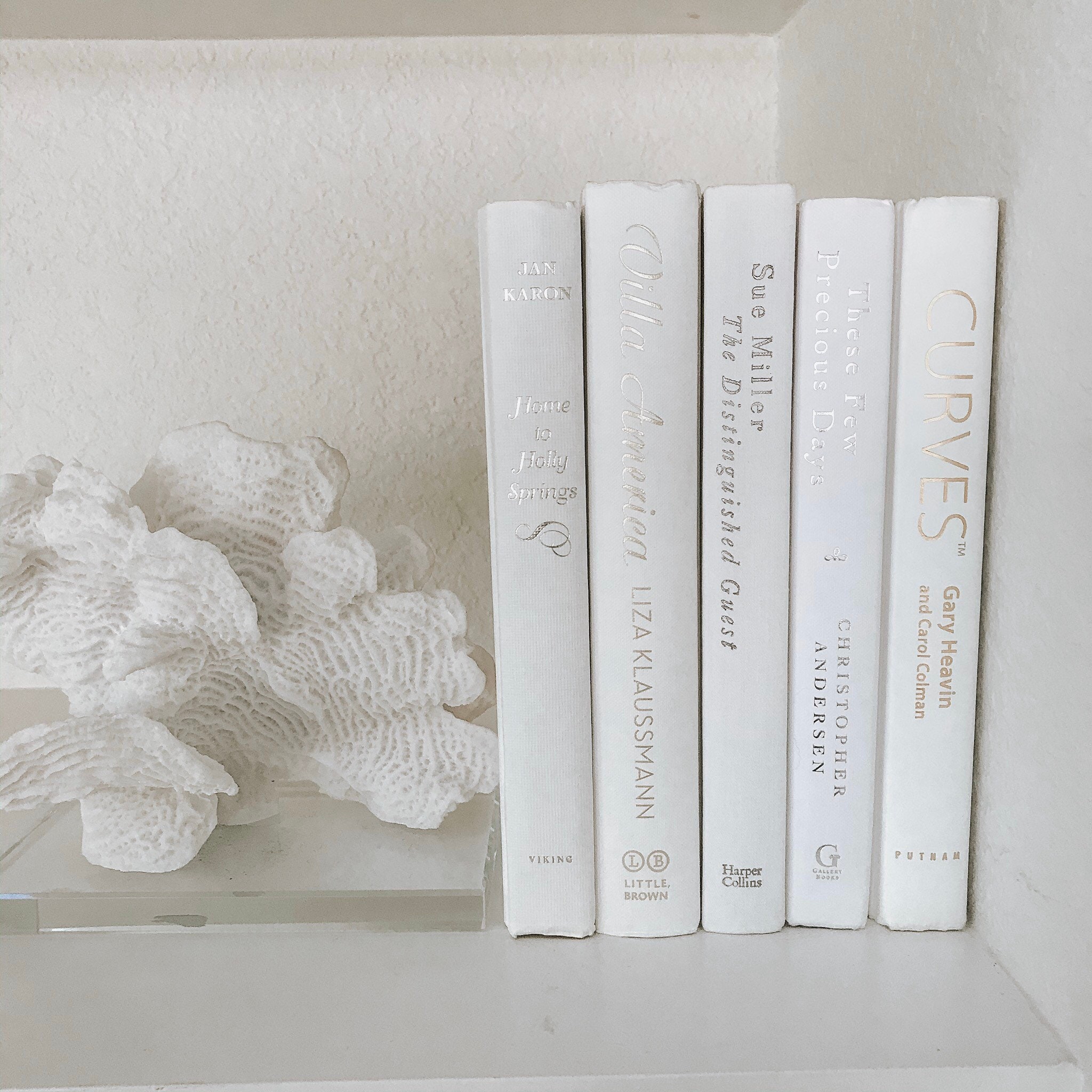 Bundle of White Decorative Books Books for Staging Farmhouse Etsy