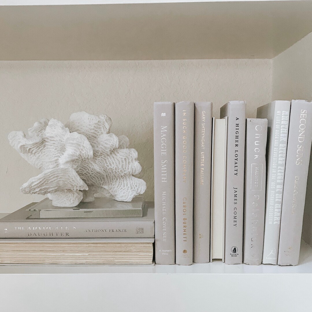 Bundle of Light Grey Decorative Books Books for Staging Etsy
