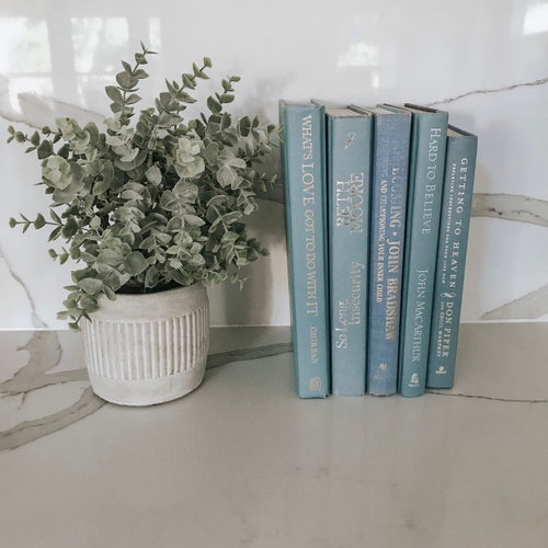 Bundle of 10 Light Grey Decorative Books Books for Staging Etsy