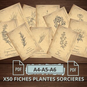 SHEET 50 WITCH PLANTS A4-A5-A6 vintage