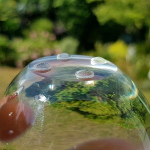 May include: A clear glass dome with four small, clear rubber feet on the bottom. The dome is reflecting the green foliage of a garden.