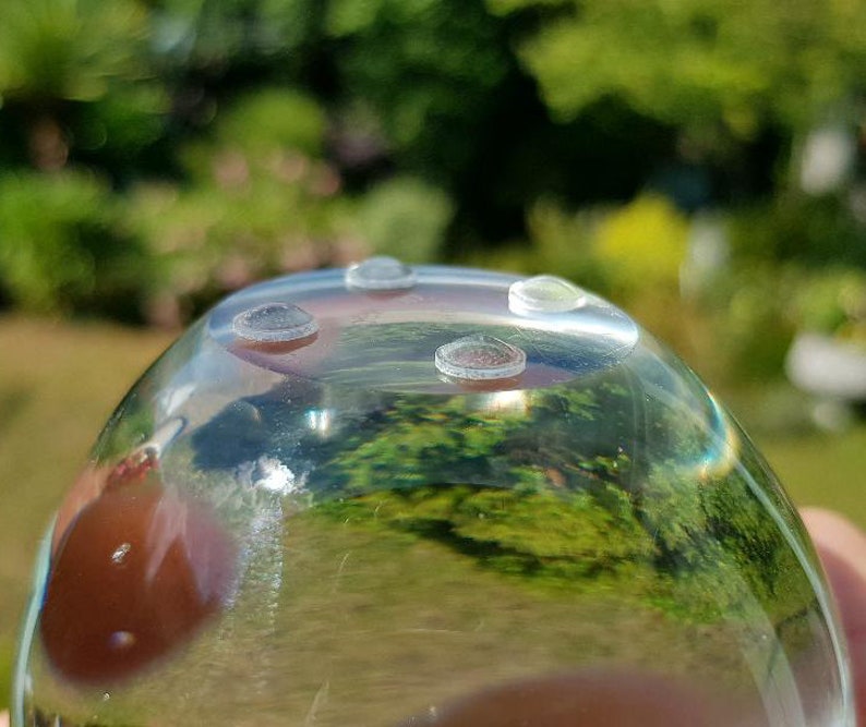 May include: A clear glass dome with four small, clear rubber feet on the bottom. The dome is reflecting the green foliage of a garden.