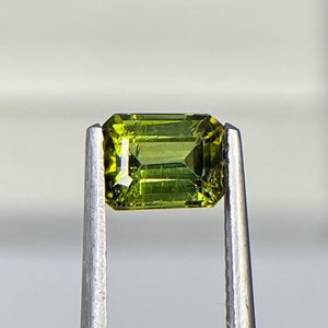 Natural Green Tourmaline Octagon Shape Faceted Gemstone Precision Cut 5x6.5x4MM 1.10Cts TM-20