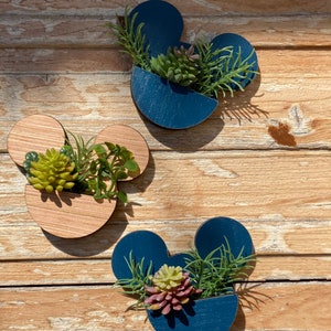 Mickey Mini Succulent magnet, Office magnets, Mickey refrigerator magnets