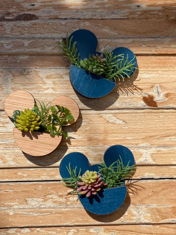 Mickey Mini Succulent magnet, Office magnets, Mickey refrigerator magnets