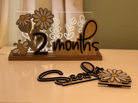Infant Milestone Nursery Nightlite Decor