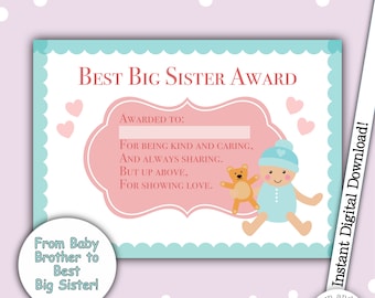 Best Big Sister Award Certificate, Best Sister, Thanks Sister, I'm A Big Sister, New Baby, Baby Brother, Sibling Love, Little Bro Big Sis