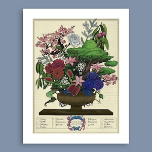 Sinnoh Flora Art Print