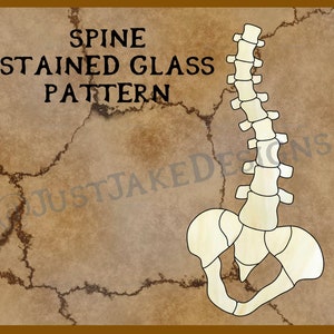 Op de afbeelding: Een glas-in-loodpatroon van een menselijke wervelkolom met de tekst "SPINE STAINED GLASS PATTERN" bovenaan de afbeelding.
