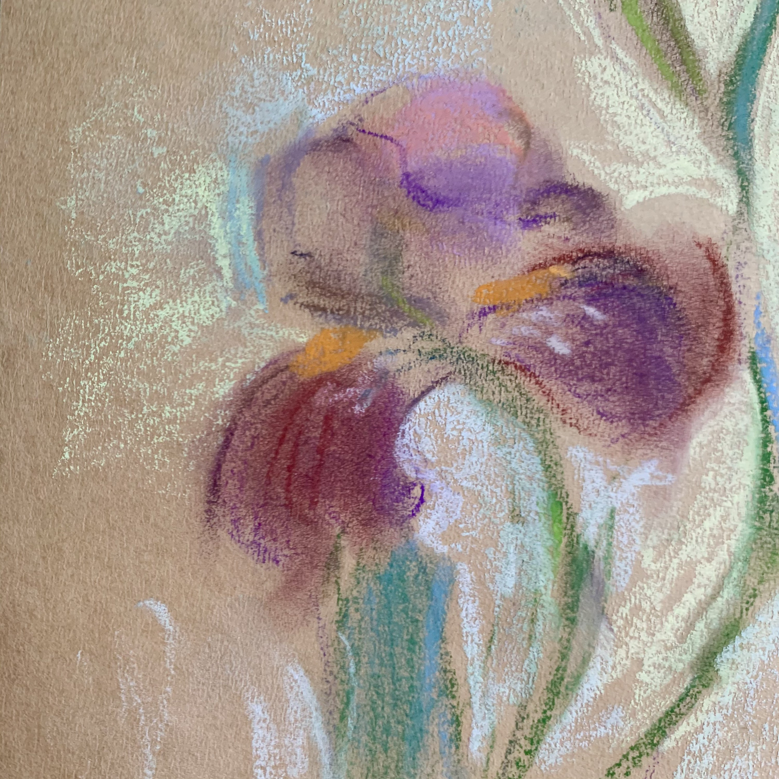 Iris Painting Floral Wall Art Iris Decor Pastel Flowers | Etsy