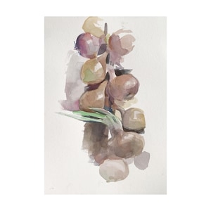 Onion painting watercolor vegetables artwork original watercolor 8 by 12 by MAVARTO