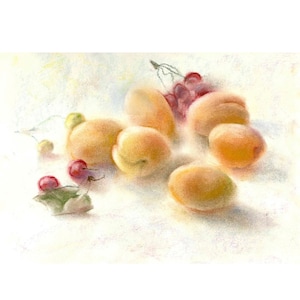 Apricot Painting Fruit Art Fruit Still life Artwork Kitchen Decor Original Art 12 by 8 by Maavko