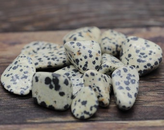 Dalmatian Agate-Jasper 0.75" - 1" tumbled gemstone crystal pocket STONE (relief from skin conditions, protection, filter energy)