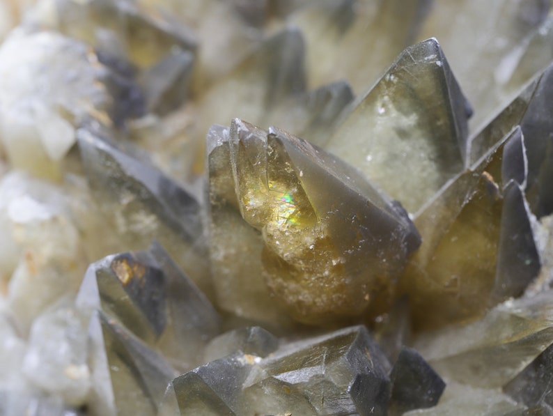 natural raw Moroccan SMOKY QUARTZ gemstone crystal cluster GEODE grounding, protection & balancing image 6