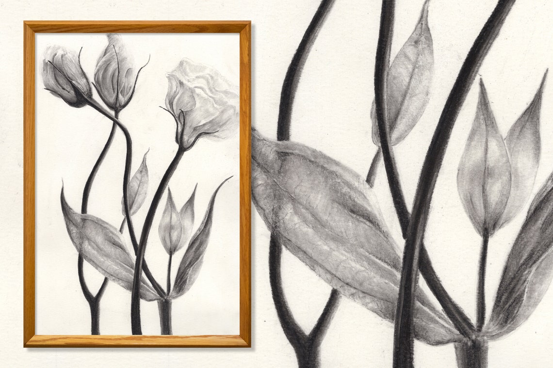 Handmade Flower Sketch Drawing Etsy