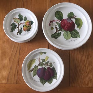 英国ポートメリオン ポモナ社 パスタプレート4枚 楽天市場