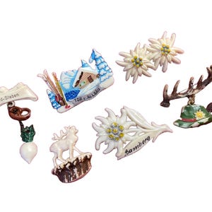 Spille da cappello tedesche d&#39;epoca: chalet alpino, stella alpina, Brotzeit e altro ancora: spille in celluloide con fascino bavarese