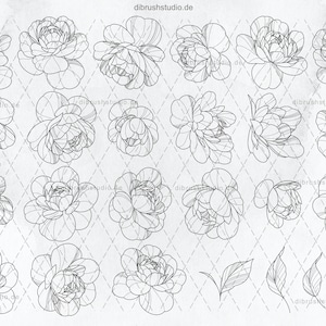 Procreate - 100 Peony Tattoo Stamps - Commercial Use, Procreate Brushes ...