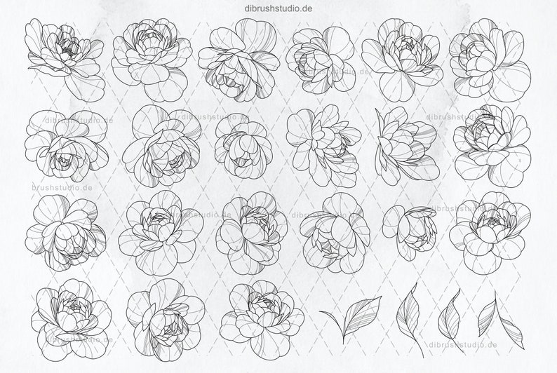 Procreate - 100 Peony Tattoo Stamps - Commercial Use, Procreate Brushes ...
