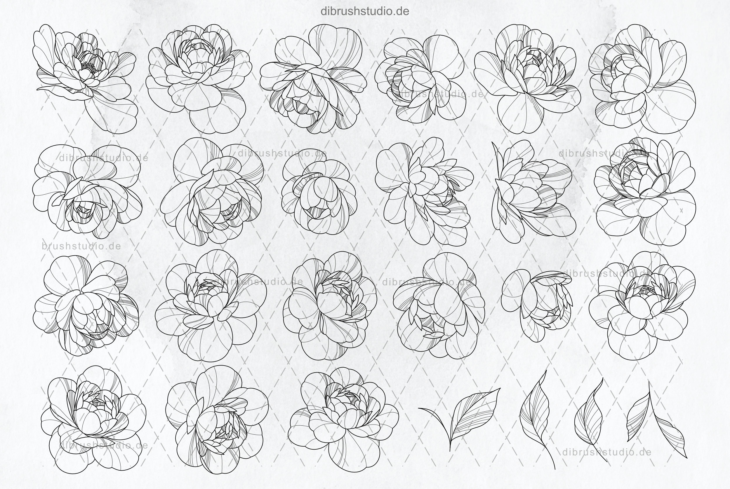 Procreate - 100 Peony Tattoo Stamps - Commercial Use, Procreate Brushes ...