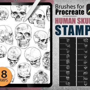 18 Procreate Brushes - Human Skull Brushset Bone Tattoo Download Stamp