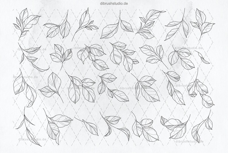 Procreate - 100 Peony Tattoo Stamps - Commercial Use, Procreate Brushes ...