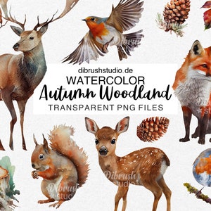 Aquarelle Woodland PNG, Clipart, Digital Scrapbook fox png, Aquarelle Deer png, Souche d'arbre png, Branche png, Robin Bird png, USAGE COMMERCIAL