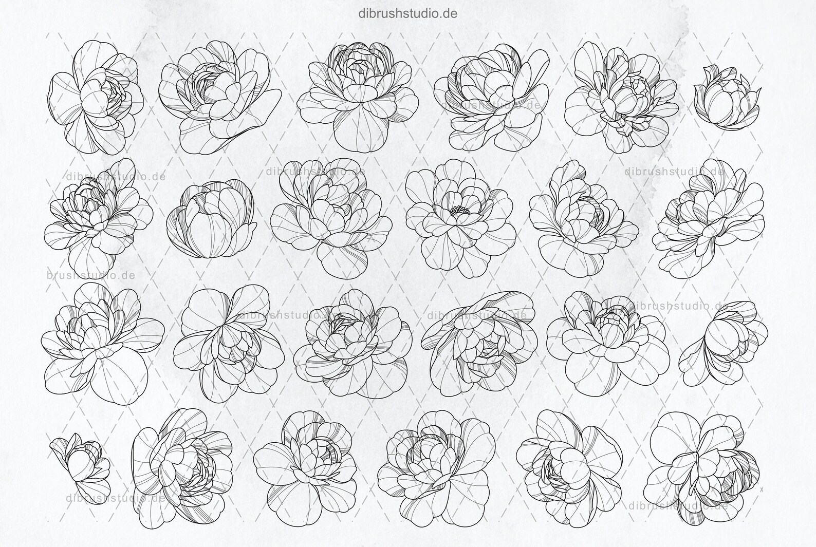 Procreate - 100 Peony Tattoo Stamps - Commercial Use, Procreate Brushes ...