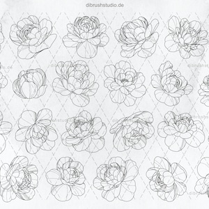 Procreate - 100 Peony Tattoo Stamps - Commercial Use, Procreate Brushes ...