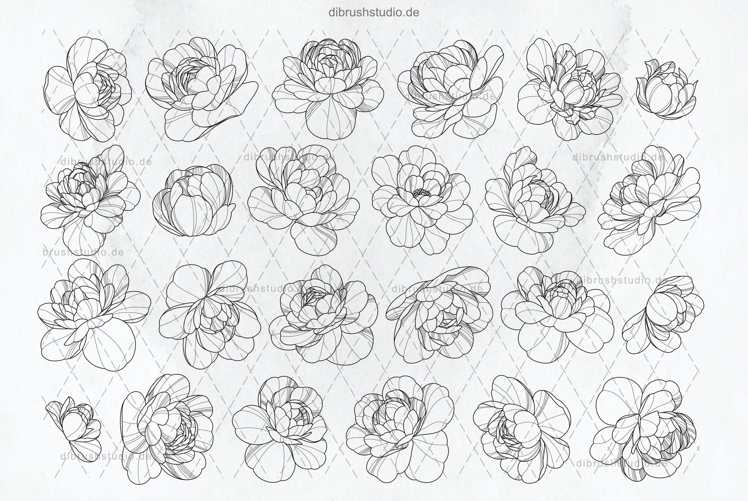 Procreate - 100 Peony Tattoo Stamps - Commercial Use, Procreate Brushes ...