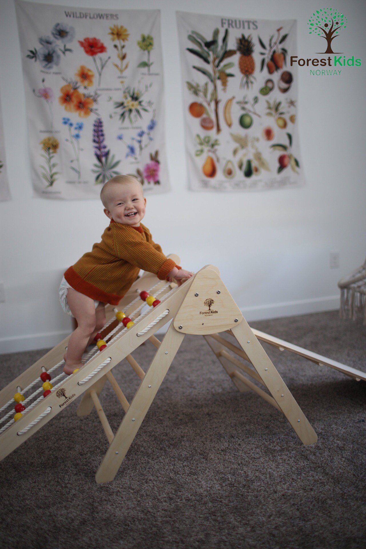 Climbing set Toddler gym Kids gym Baby gym Toddler climbing Etsy
