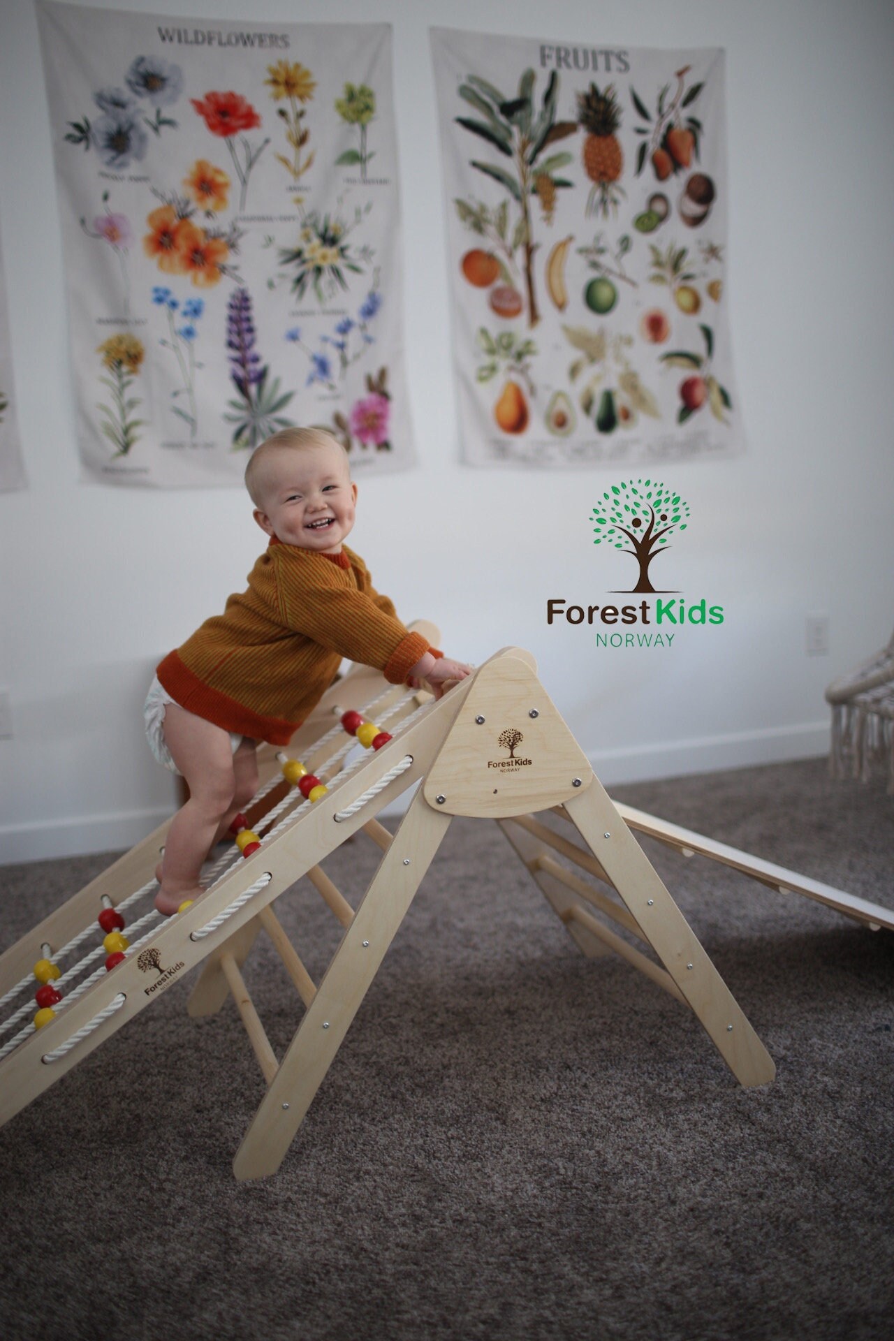 Climbing Triangle And Ramp Wooden Triangle Montessori Etsy