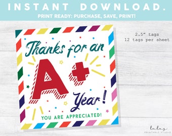 Leraar waardering cadeau tag, leraar waardering week, dank u tag, leraar cadeau tag, leraar cookie tag, A+ jaar