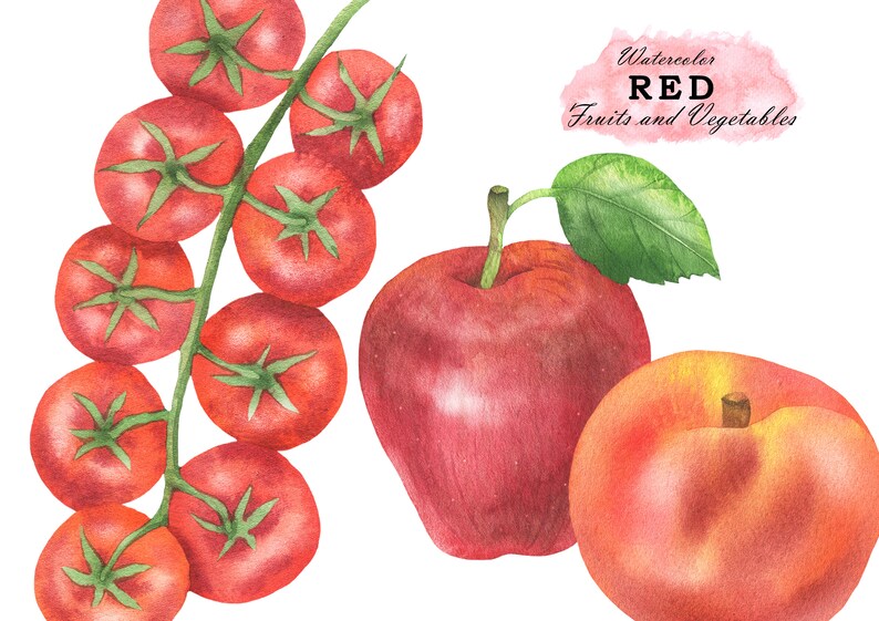 Watercolor Red Fruit and Vegetables Clipart Farm and Kitchen Etsy